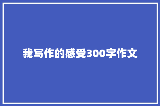 我写作的感受300字作文 词汇积累