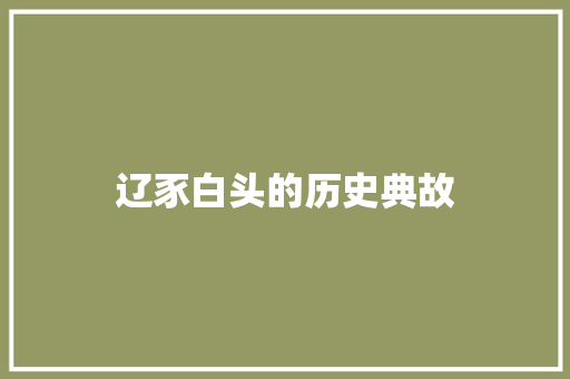 辽豕白头的历史典故 写作社区