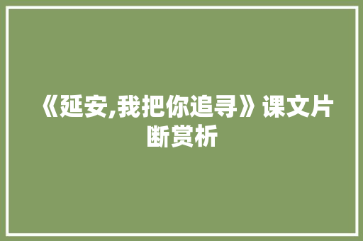 《延安,我把你追寻》课文片断赏析 写作素材