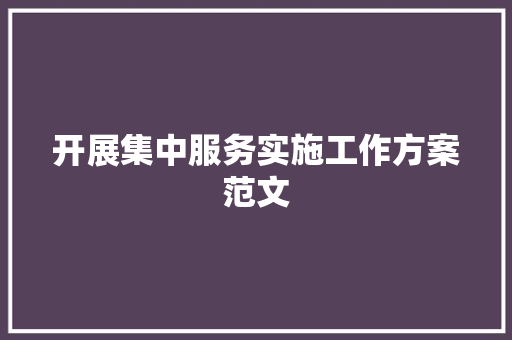 开展集中服务实施工作方案范文 写作素材
