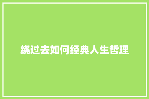绕过去如何经典人生哲理 简历模板