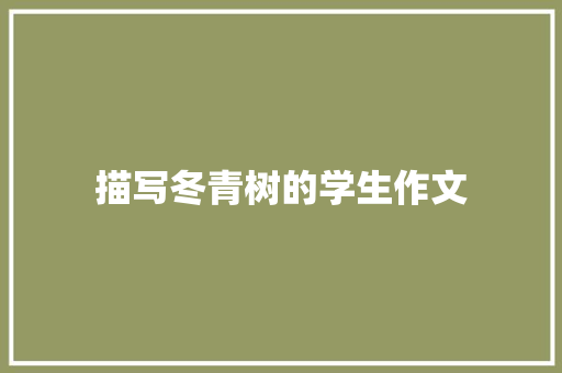 描写冬青树的学生作文