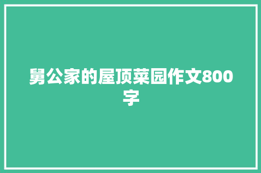 舅公家的屋顶菜园作文800字 简历模板