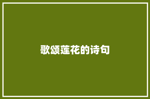 歌颂莲花的诗句 范文赏析
