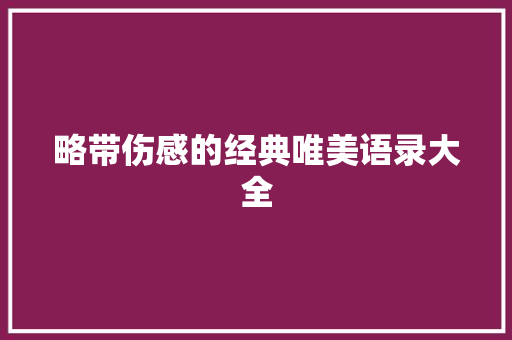 略带伤感的经典唯美语录大全 词汇积累