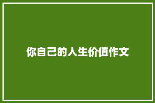 你自己的人生价值作文 简历模板