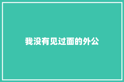我没有见过面的外公 词汇积累