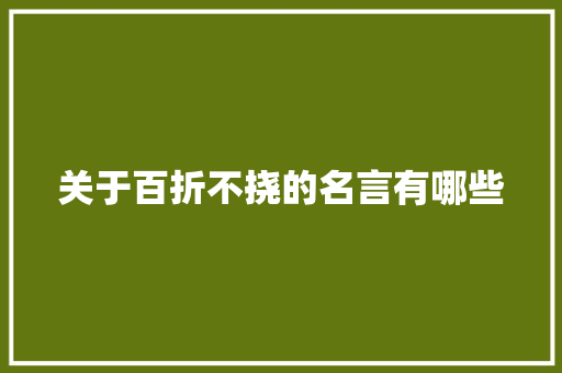 关于百折不挠的名言有哪些 简历模板