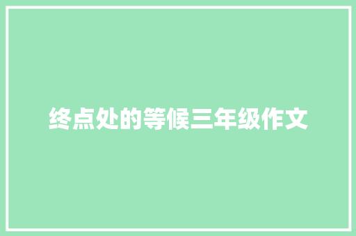 终点处的等候三年级作文