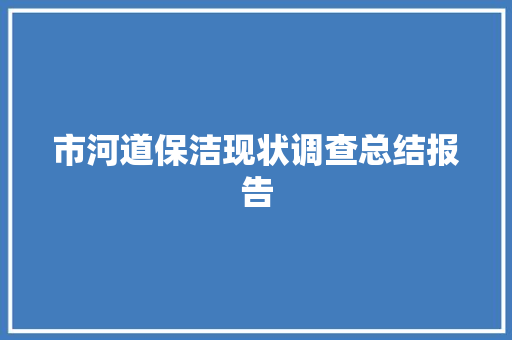 市河道保洁现状调查总结报告 写作社区