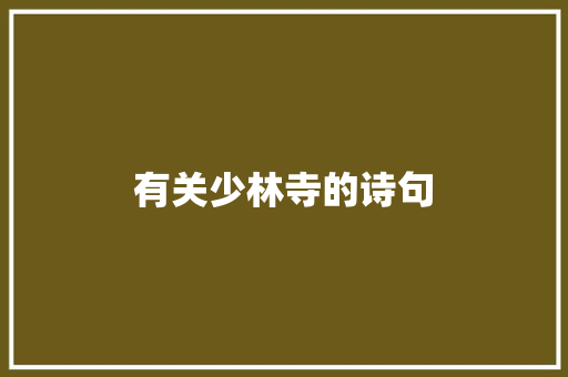 有关少林寺的诗句 词汇积累