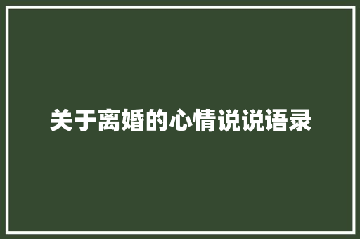 关于离婚的心情说说语录