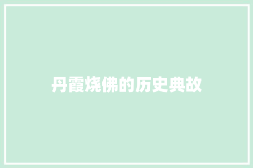 丹霞烧佛的历史典故 简历模板