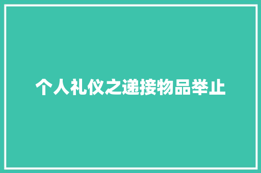 个人礼仪之递接物品举止 词汇积累