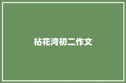 拈花湾初二作文 商业文案