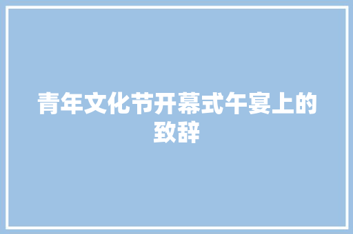 青年文化节开幕式午宴上的致辞 报告写作