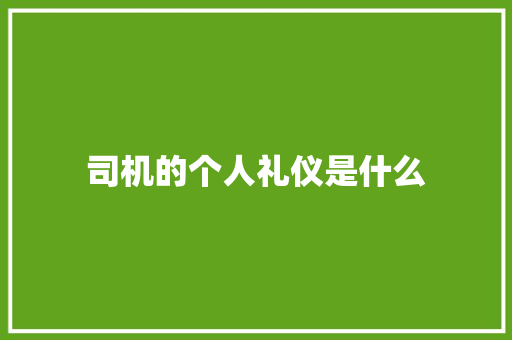 司机的个人礼仪是什么 范文赏析