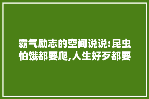 霸气励志的空间说说:昆虫怕饿都要爬,人生好歹都要拼