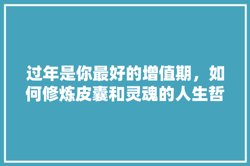 过年是你最好的增值期，如何修炼皮囊和灵魂的人生哲理 范文赏析