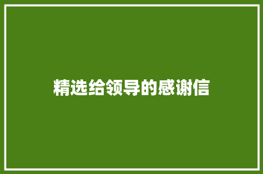 精选给领导的感谢信 写作社区