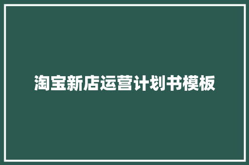 淘宝新店运营计划书模板 简历模板