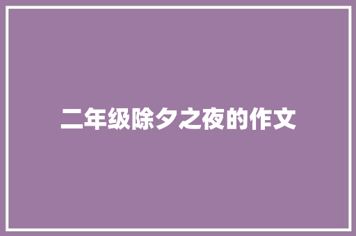 二年级除夕之夜的作文 简历模板