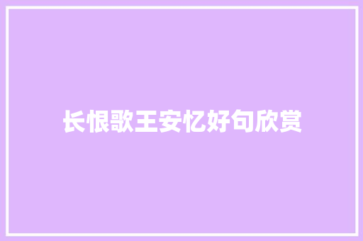 长恨歌王安忆好句欣赏