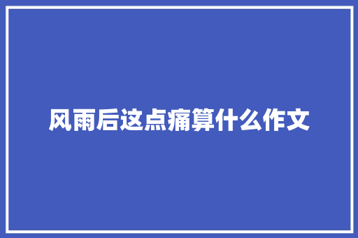 风雨后这点痛算什么作文 词汇积累