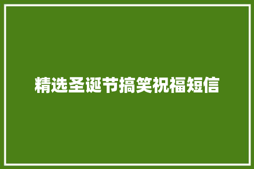 精选圣诞节搞笑祝福短信
