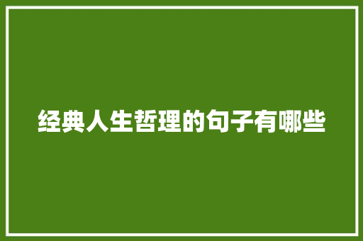 经典人生哲理的句子有哪些 简历模板