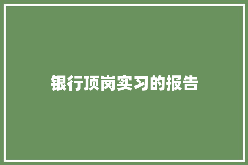 银行顶岗实习的报告