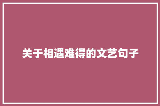 关于相遇难得的文艺句子 商业文案