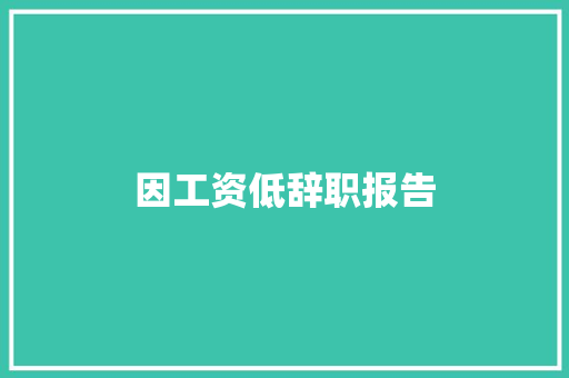 因工资低辞职报告 词汇积累