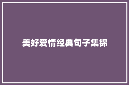 美好爱情经典句子集锦