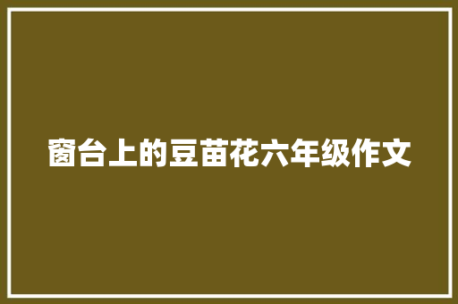 窗台上的豆苗花六年级作文