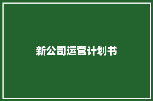 新公司运营计划书 写作技巧