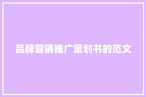 品牌营销推广策划书的范文 词汇积累