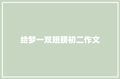 给梦一双翅膀初二作文 词汇积累