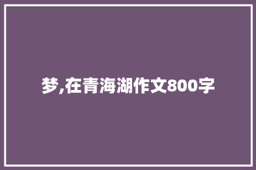 梦,在青海湖作文800字 报告写作
