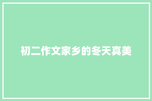 初二作文家乡的冬天真美 诗歌创作