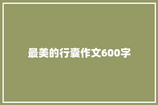 最美的行囊作文600字