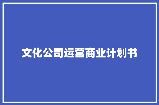 文化公司运营商业计划书 写作技巧