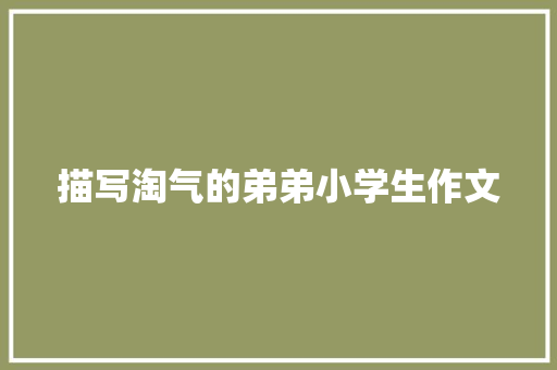 描写淘气的弟弟小学生作文 词汇积累