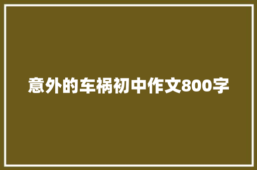 意外的车祸初中作文800字 商业文案