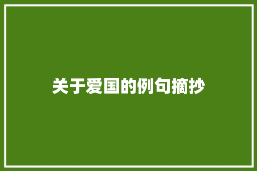 关于爱国的例句摘抄 简历模板