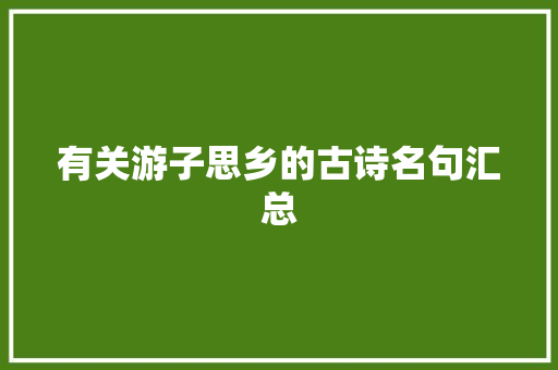 有关游子思乡的古诗名句汇总 范文赏析