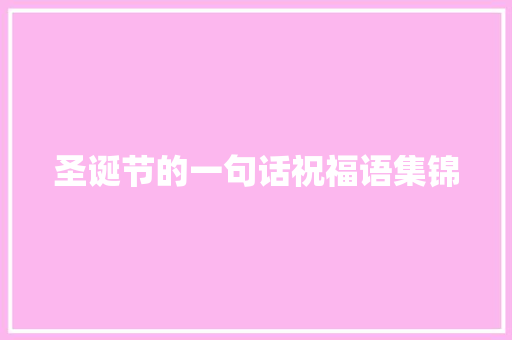 圣诞节的一句话祝福语集锦 词汇积累