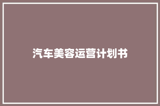 汽车美容运营计划书 简历模板