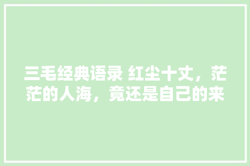 三毛经典语录 红尘十丈，茫茫的人海，竟还是自己的来处 写作素材