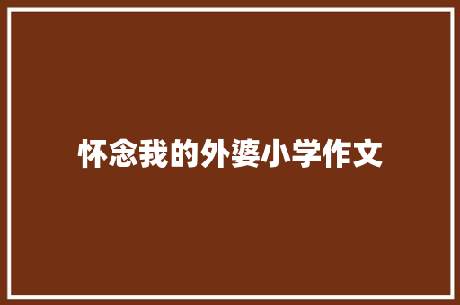 怀念我的外婆小学作文